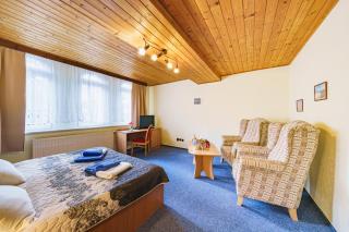 Lázeňský dům Erika - Franzensbad - 4