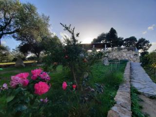 B&B La Taerra - Porto San Paolo - 5