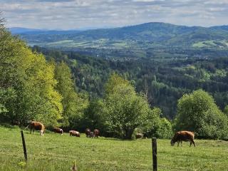 chata Oáza klidu v Beskydech - Hrádek - 8