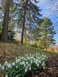 chata Oáza klidu v Beskydech - Hrádek - 2