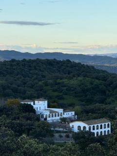 Finca Jaralta de Carmen - La Puebla de los Infantes - 0