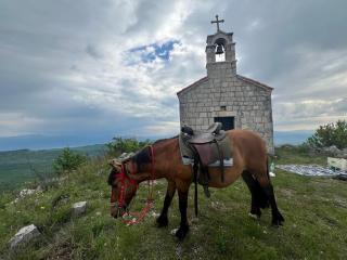 camping and horseback riding Parci - Podgorica - 0