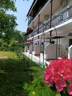 Achillion b&b - Paralía Skotínis - 3