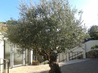 VillaPina1906 - Calonge - 8