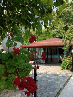 Achillion b&b - Paralía Skotínis - 7