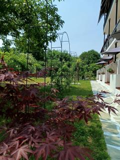 Achillion b&b - Paralía Skotínis - 8