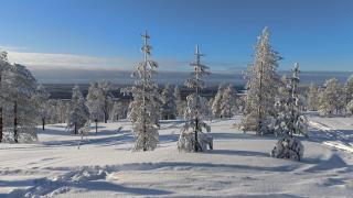 Arctic Panorama Resort - Rovaniemi - 7