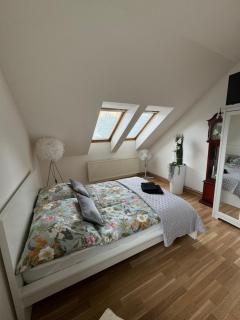 Apartmán Imperial II v Ostravě - Pustkovci - - 4