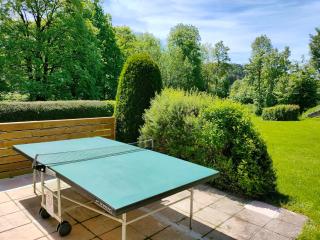 Gîte 295 Montagnes du Jura avec Spa et Sauna classé 3 étoiles - 4