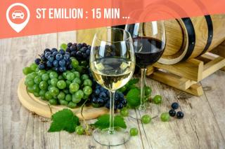 Le Clos Saint Jean - Tizac-de-Curton - 6
