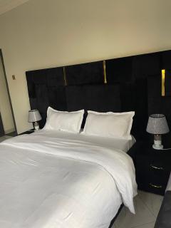Lavender Comfort apartment - Kampala - 7