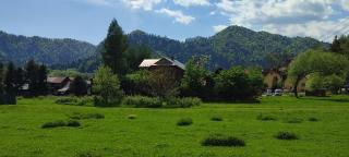 Willa Sarenka - Szczawnica - 8