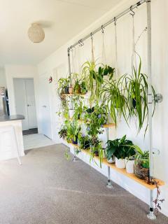 Private room in sunny Bayfair - Mount Maunganui - 4