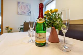 Idyllische Ferienwohnung am Pillnitzer Schlosspark - Dresden - 1