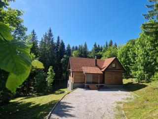 Starry Laz mountain house - Ravna Gora - 0