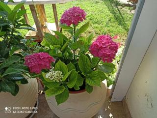 Maria's House - 1