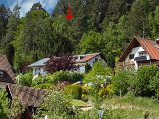 Klosterquelle - Baiersbronn - 9