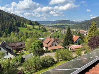 Klosterquelle - Baiersbronn - 8