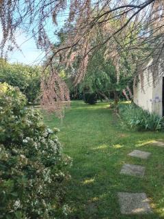 Maison avec grand jardin arboré - Ferrières - 8