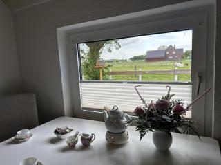 NEU! Ferienhaus Assing am Deich - Neßmersiel - 7