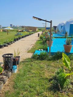Mar a Lago Glamping23 - Douăzeci şi Trei August - 7