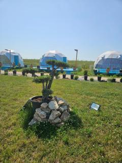 Mar a Lago Glamping23 - 8