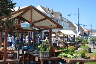 Chez Alice, à 50m à pieds de la mer à Hardelot-Plage - Neufchâtel-Hardelot - 1