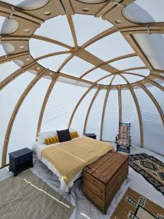 Woodford Farm - Wells - 8