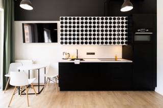 Brnox Terrace Studio - Brno - 0