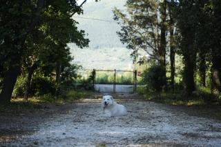 La stamberga nel bosco - Asciano Pisano - 7