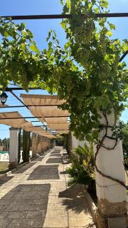 Tenuta del salento - 3