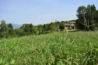 agriturismo Cà Roer - San Zenone - 9