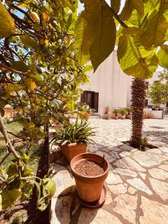 La Chiocciola 2 Bed&Breakfast - Castelluzzo - 5