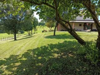 Agriturismo GREPPA BOVI - Montorsaio - 7