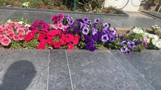 Homestay Chandigarh Airport Ganga - Mohali - 6