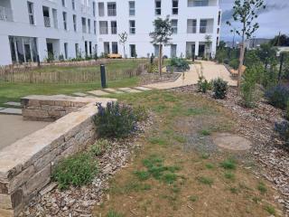 DOMITYS - Margot - 1