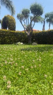 Villa Erika - 6