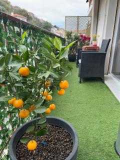 Spacious Riviera Studio - Nice - 7