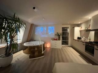 Luxury Private Spa with golden bath, cinema and sauna - Bodegraven - 1