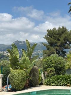 LA BASTIDE DE CHARME - Vence - 1