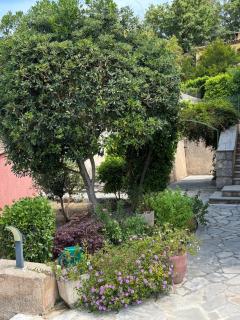LA BASTIDE DE CHARME - Vence - 5