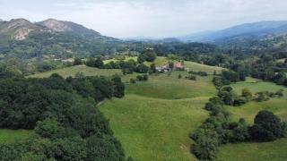 La Cerezal II - Borines - 5