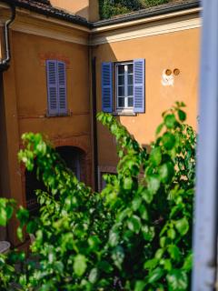 Casa Bouganville - 4