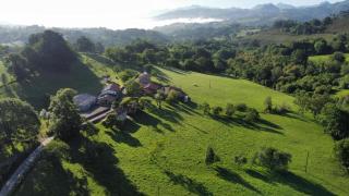 La Cerezal III - Borines - 7