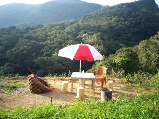 D Hearts Home Stay , Nuwara Eliya - Nuwara Eliya - 6