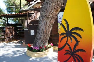 Oasis Beachfront Studios & Apartments, by ZanteWize - Alikanas - 7