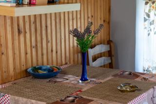 Oasis Beachfront Studios & Apartments, by ZanteWize - Alikanas - 3