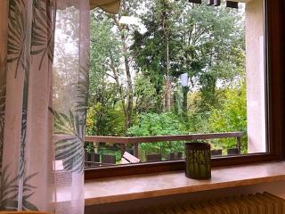 Ferienwohnung Sunneschii, Höchenschwand - Höchenschwand - 3