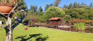 Quinta Moinho do Monte - 8