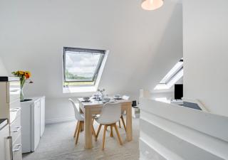 Pintail - Mileham - Mileham - 5